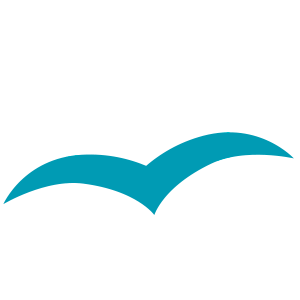 (c) Teleliguria.it